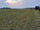 Will camping field