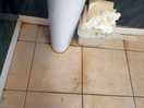 Overflowing bins dirty floor
