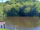 Beautiful pond in the grounds of the campsite