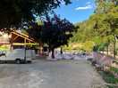 Camp bar, and pool
