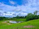 Gorgeous views around the farm.