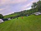 Nice big fields