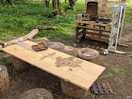 Lots of things for children to do