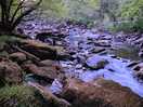 Stream
