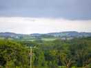 The view