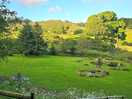 View from lavender hut
