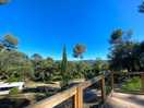 View from one of the upper terraces