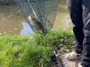 Caught a nice fish