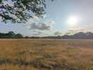 Surrounding countryside
