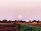 Rising moon