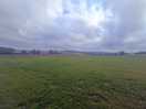 Senary