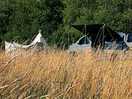 Peaceful meadow camping