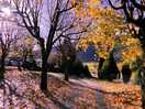 Beautiful fall scenary.
