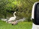 Regular visitors!