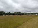 From our pitch towards the facilities
