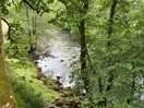 Stream running by the site