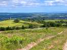 View from farm track