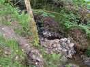 Stream running through the site.