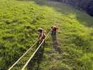 Great walks, the dogs loved it