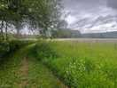 Avon river walk. very well