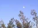 Clear skys