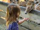 Mogo zoo is a short ride away and is a great place for kids.
