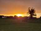 Beautiful sunset