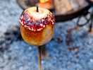 Toasting marshmallows by the fire pit
