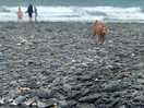Onsite beach