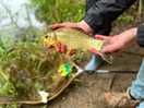 Fishing at wild weald
