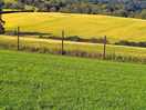 Rolling hills and sunshine.