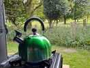 Making tea watching the wild birds and cows in the field