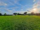 Campsite under the sun