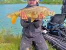 Mirror carp