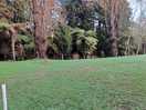 Lovely established grounds