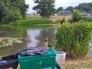 Come on little fishies !!