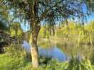 Tranquil and perfect for people who like fishing