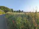 Lots of nearby walks