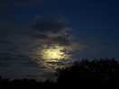 Mooooooon