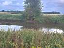 The rivwr