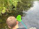 Little pond