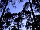 Night sky above our camper