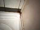 Ladies showers, black mo