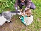 Feeders available for children to feed the very tame goats