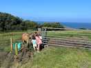 The kids loved saying hello to the sites animals