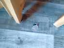 Floor demages.