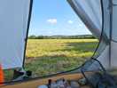 View from tent.