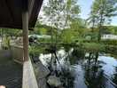 Duck pond