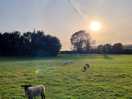 Walking to the pub