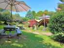 Pub garden